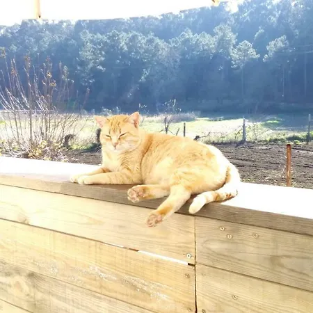 Country house Casa D'alvite