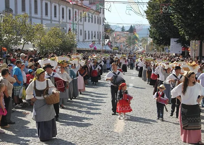 Gospodarstwo wiejskie Casa D'alvite - Arouca Gestosa
