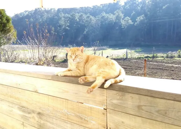 Εξοχικό σπίτι Casa D'alvite - Arouca